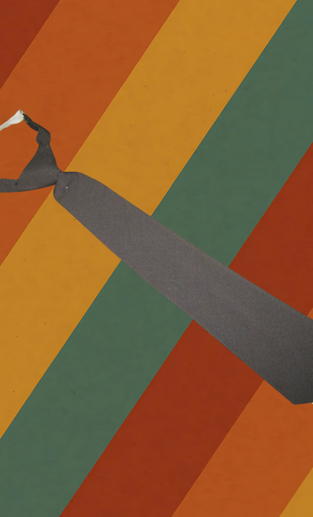 NVA Krawatte – gebraucht Sammlerstück