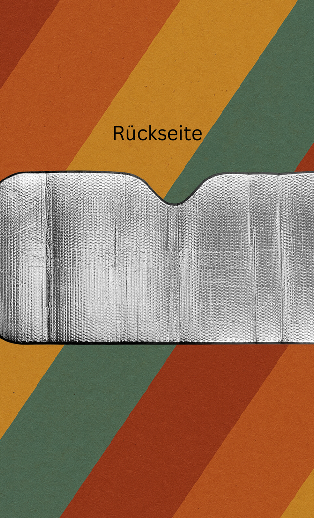 DDR Auto Schneeschutz mit Fahne